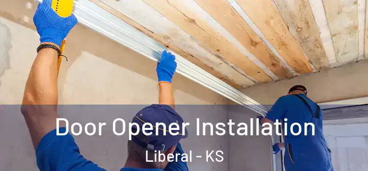  Door Opener Installation Liberal - KS