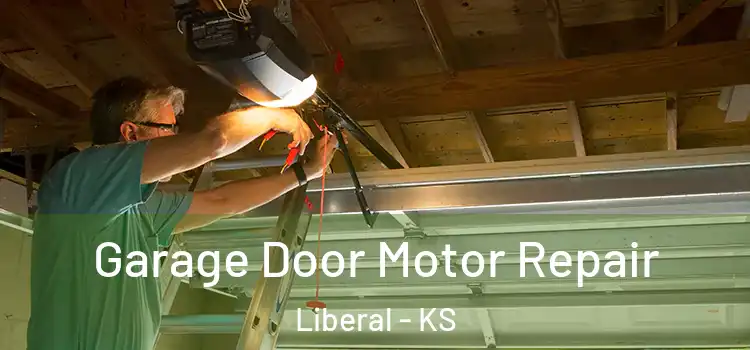  Garage Door Motor Repair Liberal - KS