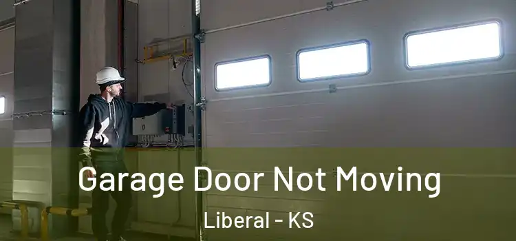  Garage Door Not Moving Liberal - KS