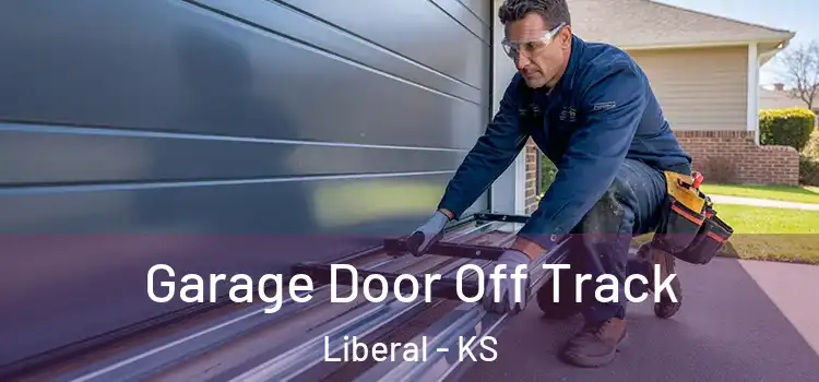  Garage Door Off Track Liberal - KS
