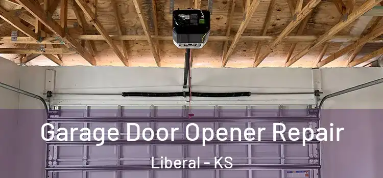  Garage Door Opener Repair Liberal - KS