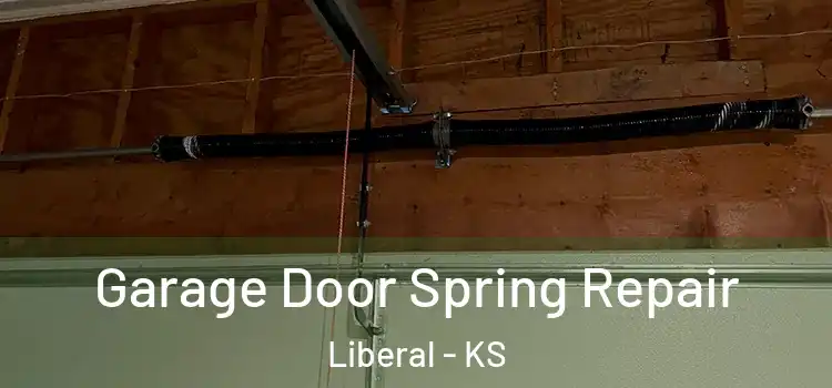  Garage Door Spring Repair Liberal - KS