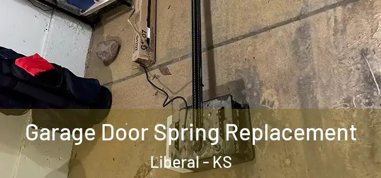  Garage Door Spring Replacement Liberal - KS