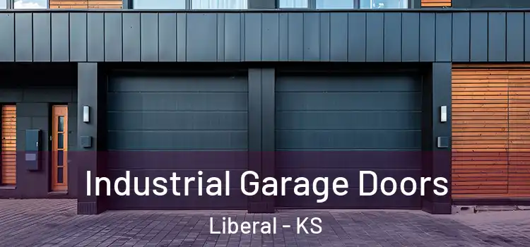  Industrial Garage Doors Liberal - KS