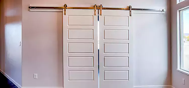 Glass Barn Door with Installation Hardware Kit Liberal