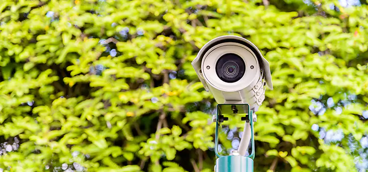 Advanced Surveillance Solutions for Every Need in Liberal
