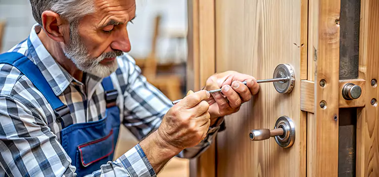 Mortise Replacement Lock Liberal