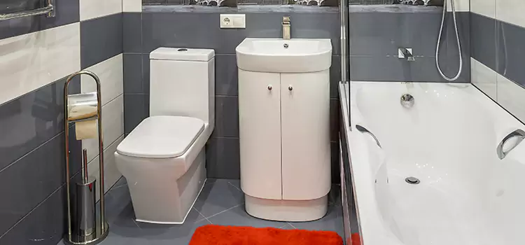 Hansgrohe Shaving Mirror Liberal