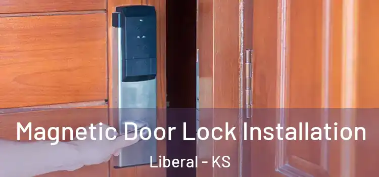  Magnetic Door Lock Installation Liberal - KS