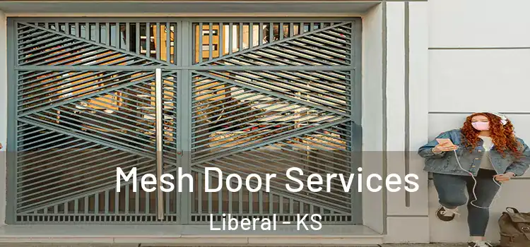Mesh Door Services Liberal - KS