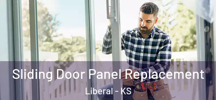  Sliding Door Panel Replacement Liberal - KS